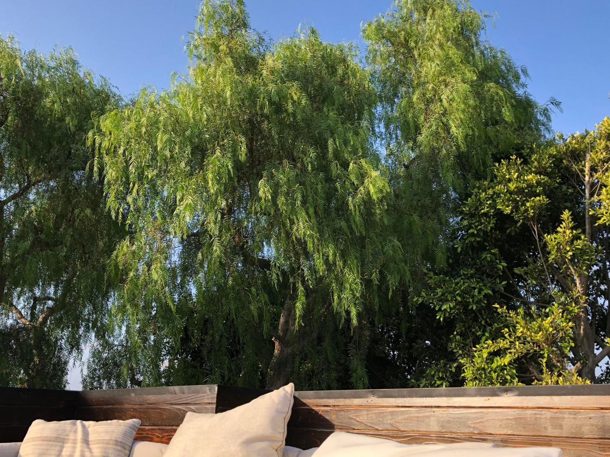 Venice Beach Studio With Large Private Patio Steps To The Beach Los Ángeles Exterior foto