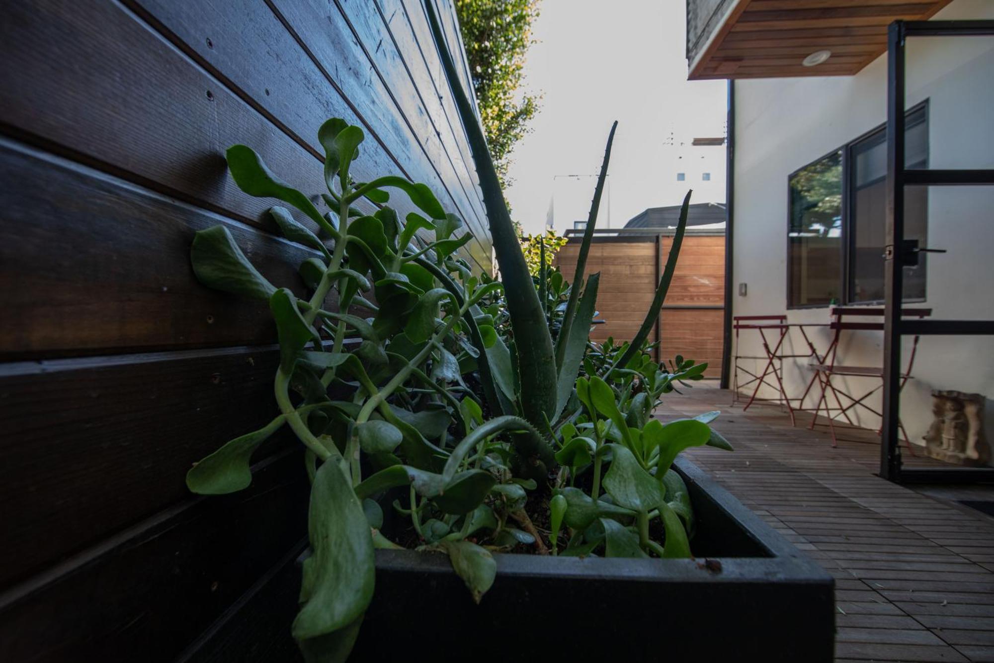 Venice Beach Studio With Large Private Patio Steps To The Beach Los Ángeles Exterior foto